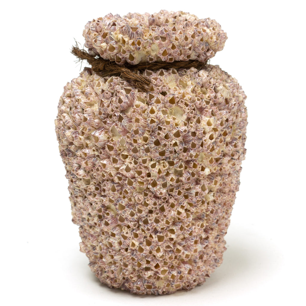 Small Takotsubo | Barnacle Encrusted Antique Japanese Pot – Shibui ...