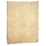 Sarasa Katazome Textile Fragment | Japanese Stencil Dyed | Edo