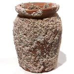 Takotsubo | Barnacle Encrusted Antique Japanese Pot