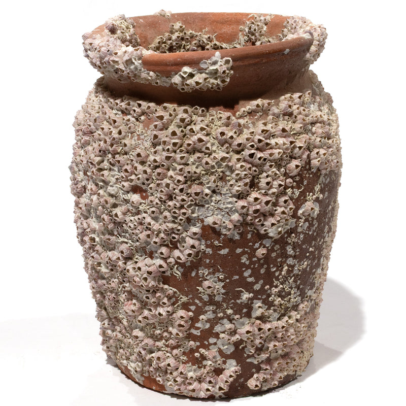 Takotsubo | Barnacle Encrusted Antique Japanese Pot