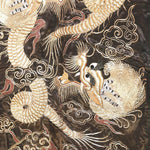 Silk Kimono with Dragons