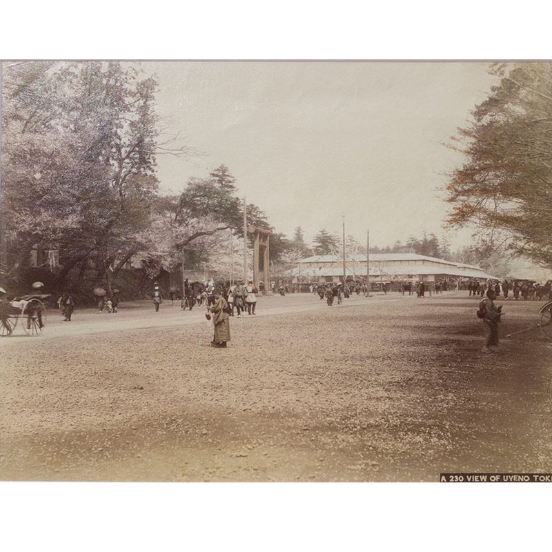 Framed Hand-tinted Meiji Era Photograph | View of Uyeno, Tokyo | Japanese Antique Photography | Albumen Photography | Japanese Decor