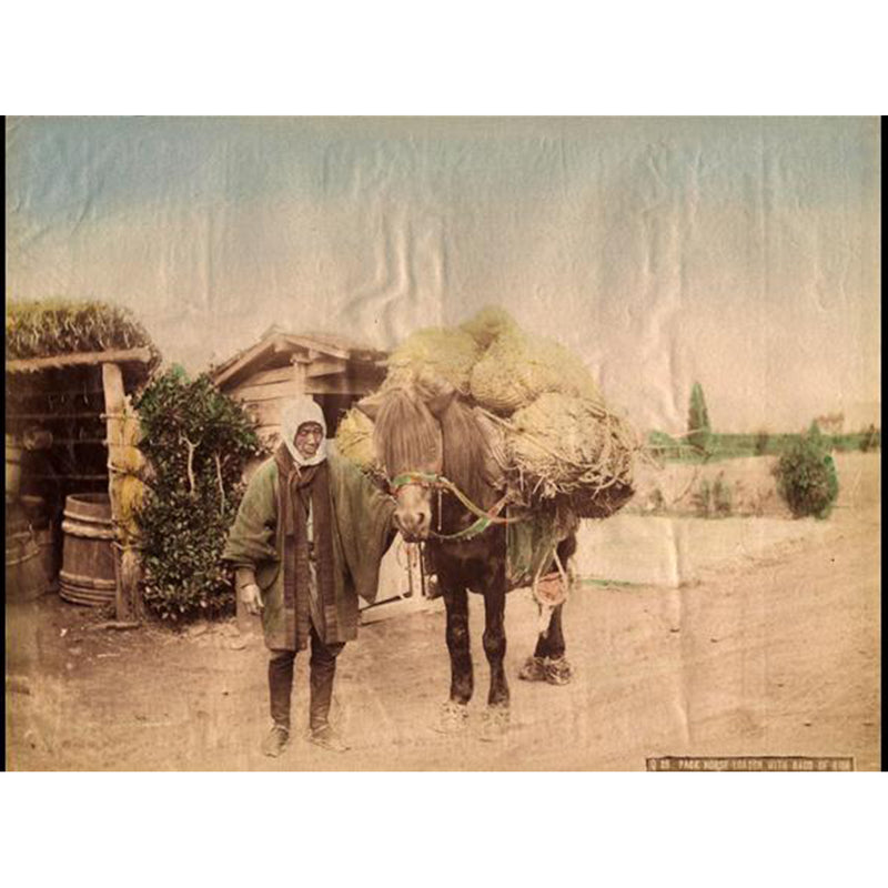 Hand-tinted Meiji Era Photograph | Farmer and Horse | Japanese Antique Photography | Albumen Photography | Japanese Decor