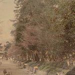 Hand Tinted Albumen Photograph of a Parkway