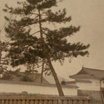 Hand Tinted Antique Japanese Albumen Photo of Nijo Castle