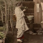 Hand Tinted Antique Japanese Albumen Photo of Wisteria